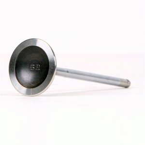 Acura Integra Engine Valve Set - Skunk2 Racing - Alpha Series, Stock Size, Standard Compression - `94-`01